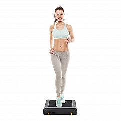 Бігова доріжка FLOW FITNESS WALKING TREAMS DTM100i