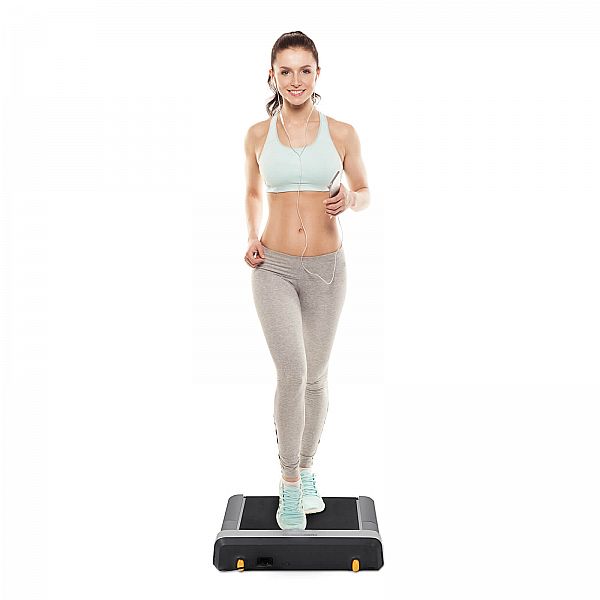 Бігова доріжка FLOW FITNESS WALKING TREAMS DTM100i
