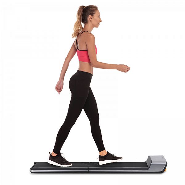 Бігова доріжка FLOW FITNESS WALKING TREAMS DTM100i
