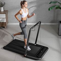 Бігова доріжка Flow Fitness DTM200i