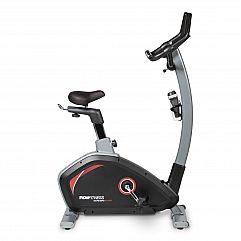 Велотренажер Flow Fitness DHT2000i
