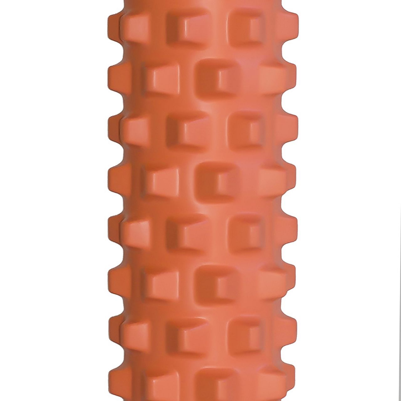 FS109 ФИТНЕС РОЛИК/HMS РОЛИК