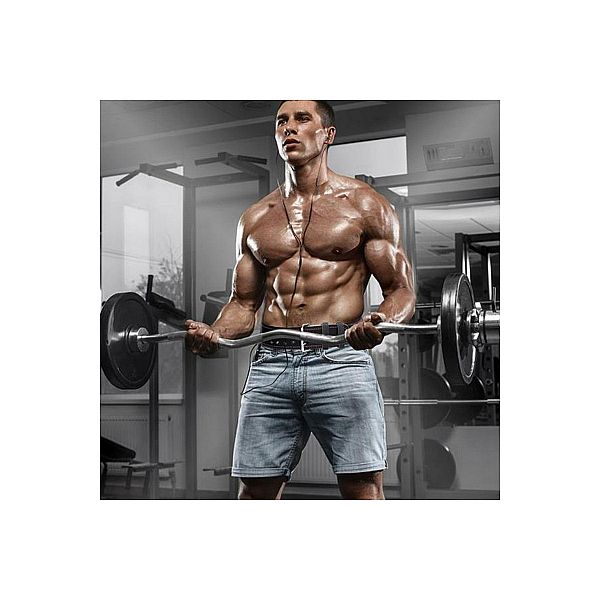 Пояс для силових тренувань HMS PA3778, розмір XL