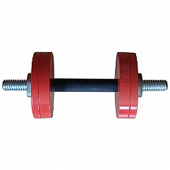 Гантель InterAtletika ST561 12 кг
