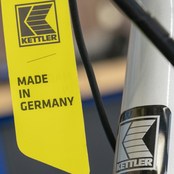 Електричний Kettler TRAVELER E-Gold 8