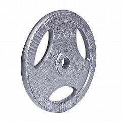 Диск сталевий inSPORTline Hamerton 20кг