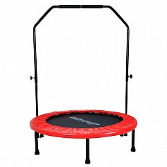 Фітнес-батут з поручнями inSPORTline Skippy Plus 122см