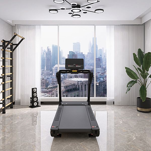 Бігова доріжка inSPORTline Gardian G10