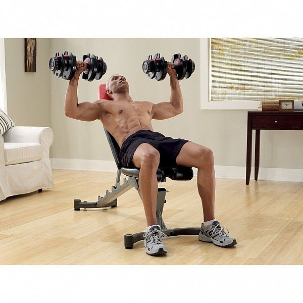 Набірні гантелі Bowflex SelectTech 552i (2-24кг) 2шт