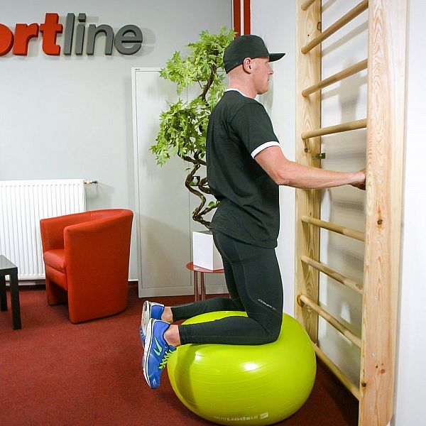 Шведська стінка inSPORTline Basicline 245 x 90см