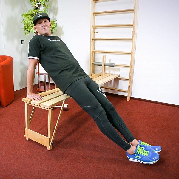 Шведська стінка inSPORTline Dremar