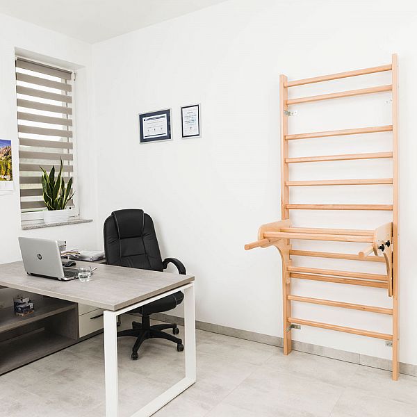 Шведська стінка з аксесуарами inSPORTline Steadyline 220 x 65 см