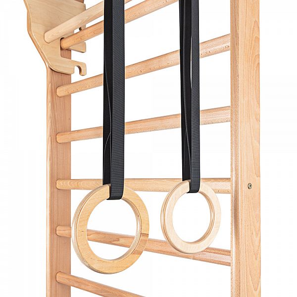 Шведська стінка з аксесуарами inSPORTline Steadyline 220 x 65 см