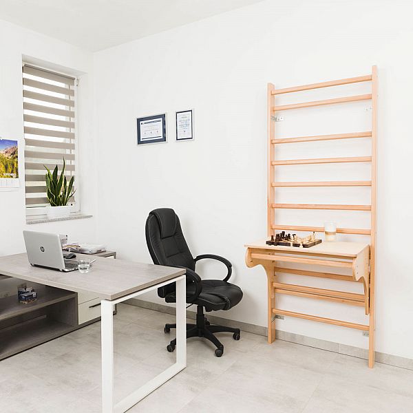 Шведська стінка з аксесуарами inSPORTline Steadyline 220 x 65 см