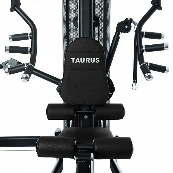 Силова фітнес-станція Taurus WS7