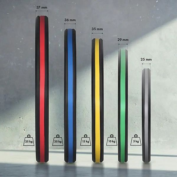 Набір олімпійських дисків HMS TOG15 2x15 кг