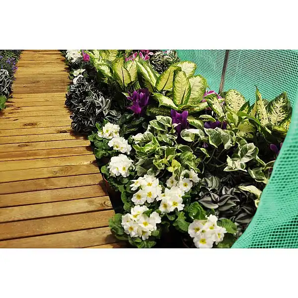 Фольгований тунель 250 x 400 см (10 м²) каркас + зелена фольга