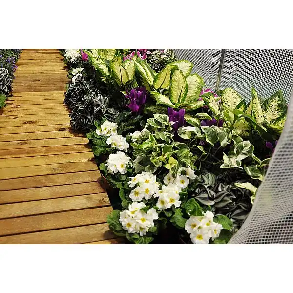 Фольгированный туннель 250 x 500 см (12,5 м²) каркас + белая фольга