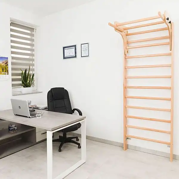 Шведська стінка з аксесуарами inSPORTline Steadyline 250 x 90 см