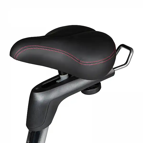 ВЕЛОТРЕНАЖЕР FLOW FITNESS DHT2500i