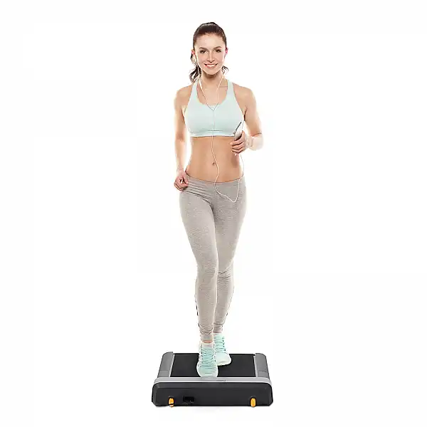 Бігова доріжка FLOW FITNESS WALKING TREAMS DTM100i