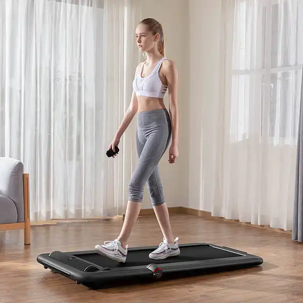 Беговая дорожка Flow Fitness DTM200i