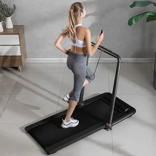 Беговая дорожка Flow Fitness DTM200i