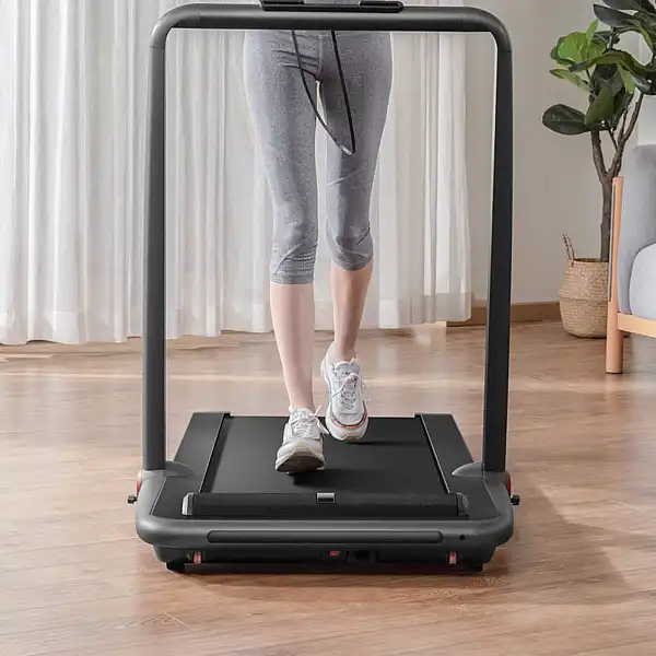 Беговая дорожка Flow Fitness DTM200i