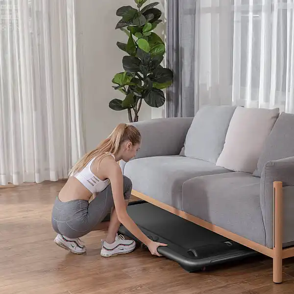 Беговая дорожка Flow Fitness DTM200i
