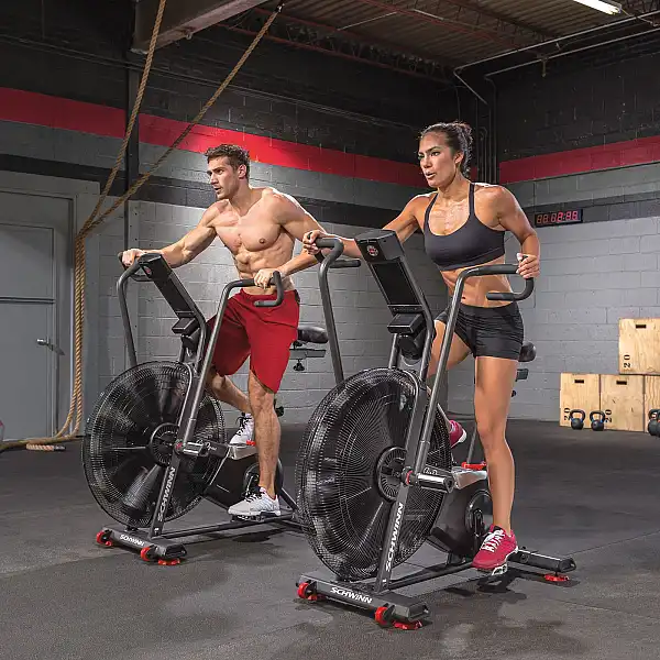 Велотренажер Schwinn Airdyne AD8