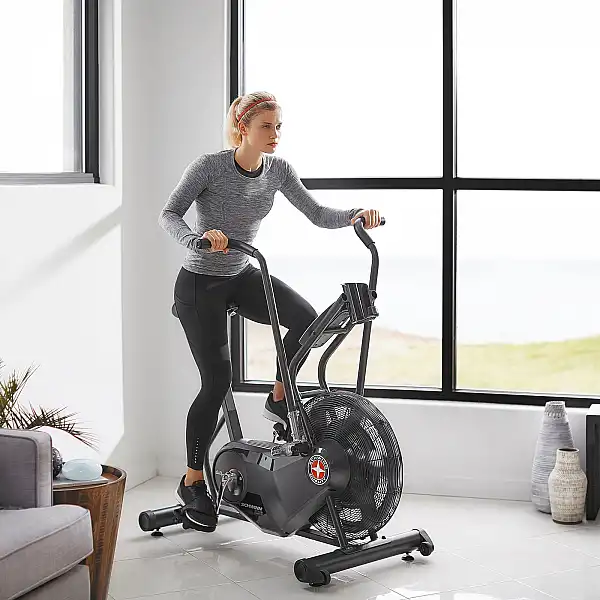Велотренажер Schwinn Airdyne AD6