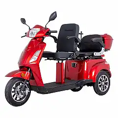 Two-Person Three-Wheel Electric Scooter inSPORTline Zorica Duo Colour Brown
