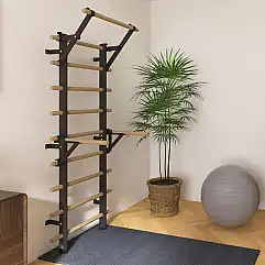 Шведська стінка inSPORTline Wootamax 220 x 80 см з турніком та паралельними брус..