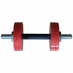 Гантель InterAtletika ST561 12 кг
