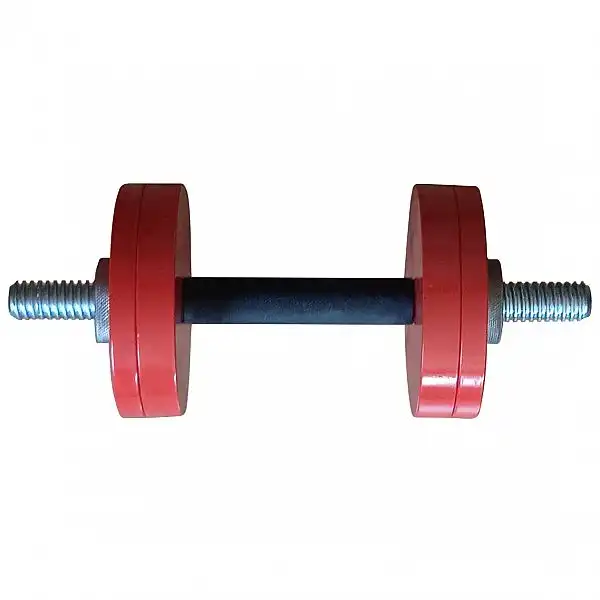 Гантель InterAtletika ST561 12 кг