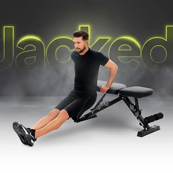 Регульована тренувальна лава Zipro Jacked