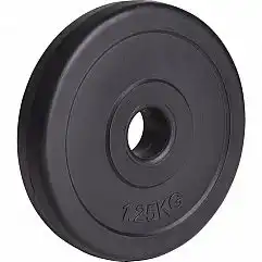 Диск композитный Fit-On 1,25кг