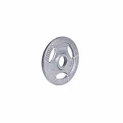 Диск сталевий inSPORTline Hamerton 2,5 кг