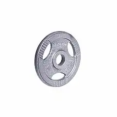 Диск сталевий inSPORTline Hamerton 5кг