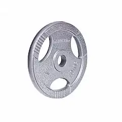 Диск сталевий inSPORTline Hamerton 10кг