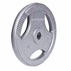 Диск сталевий inSPORTline Hamerton 25кг