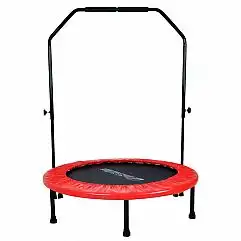 Фітнес-батут з поручнями inSPORTline Skippy Plus 122см