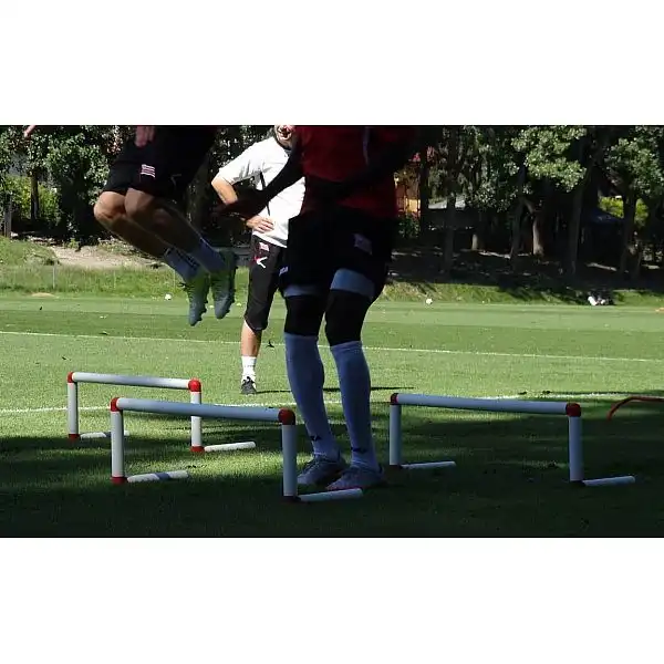 Бар'єр швидкісний PRO 30см