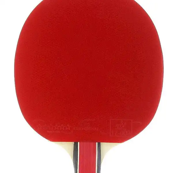 Ракетка для залів Cornilleau SPORT 400