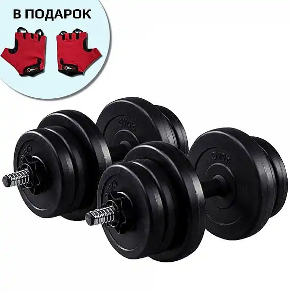 Гантели Fit-On 2x11кг битумные