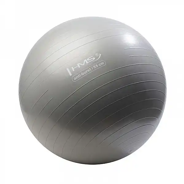 Мяч гимнастический HMS YB02 Anti-Burst Silver 55см