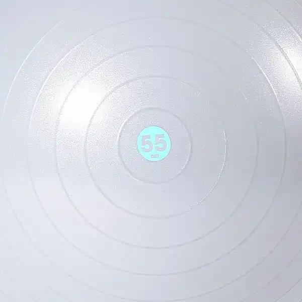 Гімнастичний м'яч Reebok RAB-11015BL 55 см, сірий