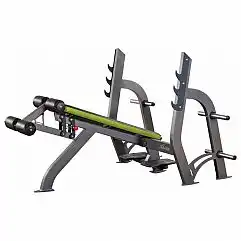 Лава для жиму під кутом вниз X-Line R XR306