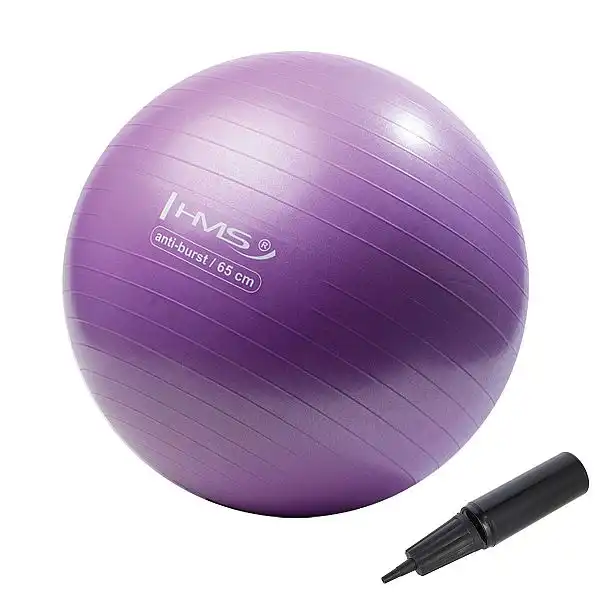 Мяч гимнастический HMS YB02 Anti-Burst Violet 65см