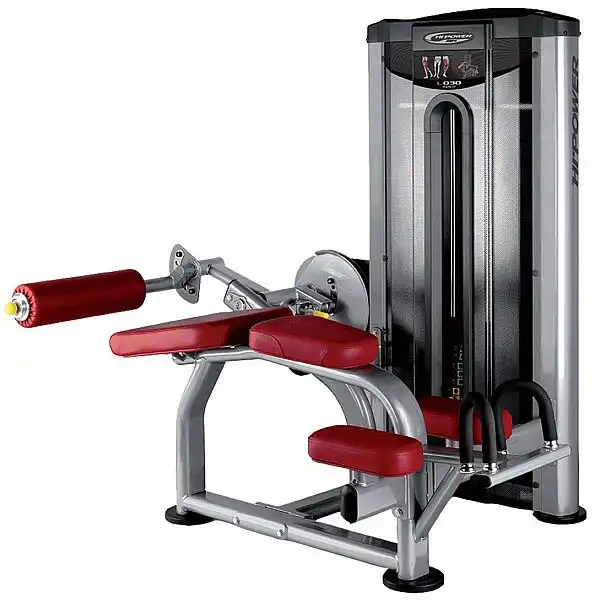 Згинач стегна лежачи BH Fitness L030